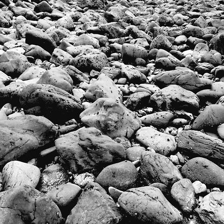 Beachcomber Lodge Lord Howe Island Eksteriør bilde